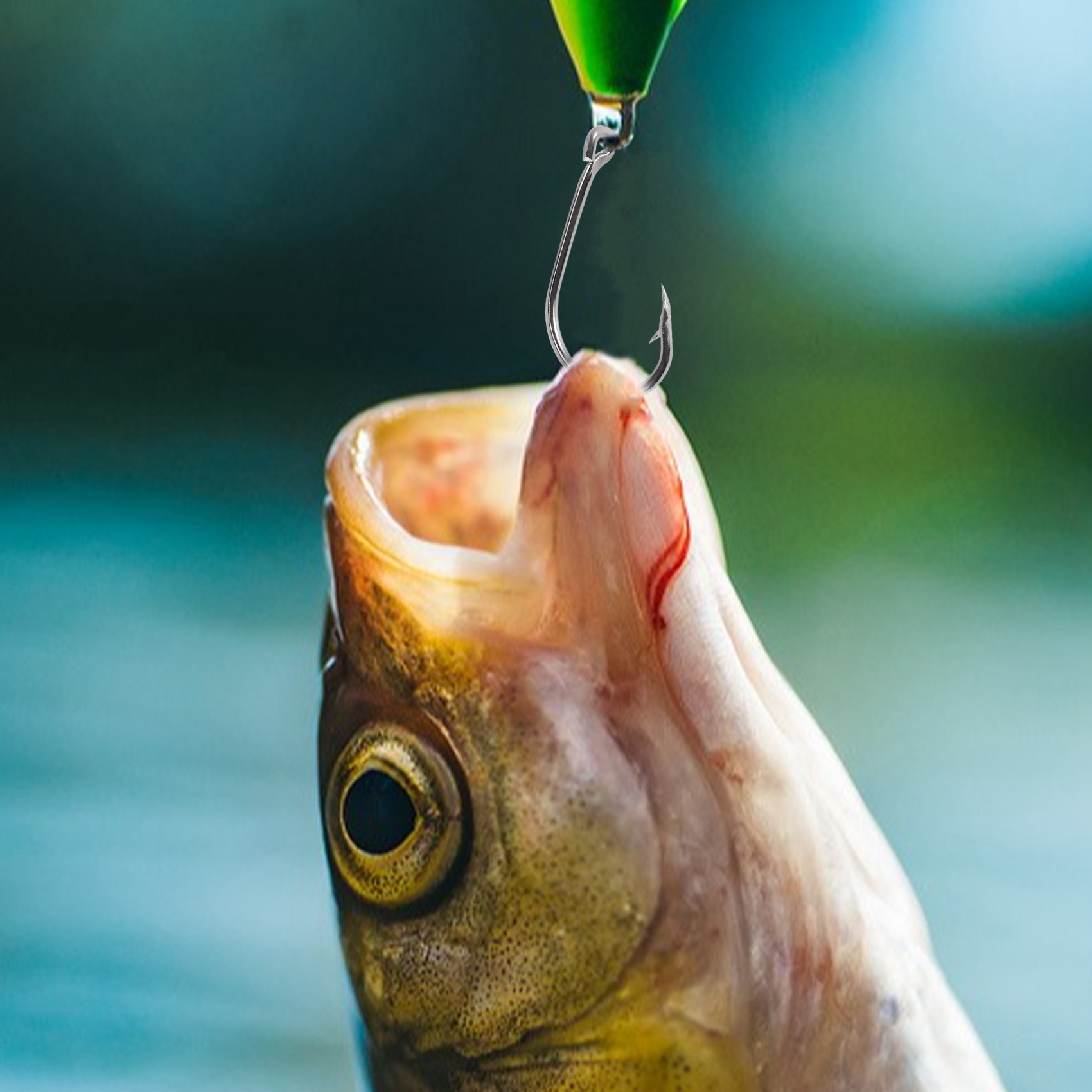 Nuovo arrivo 500 pezzi/set di  - Fishing Hook Box recensione e prezzo